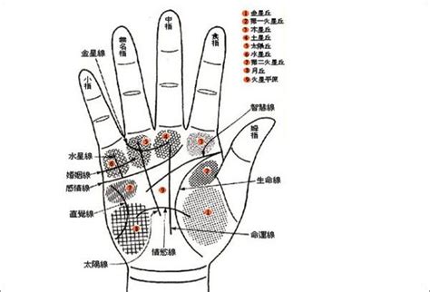 財庫線|手相財運線怎麼看 手相財運線圖解——5種財運分析讓。